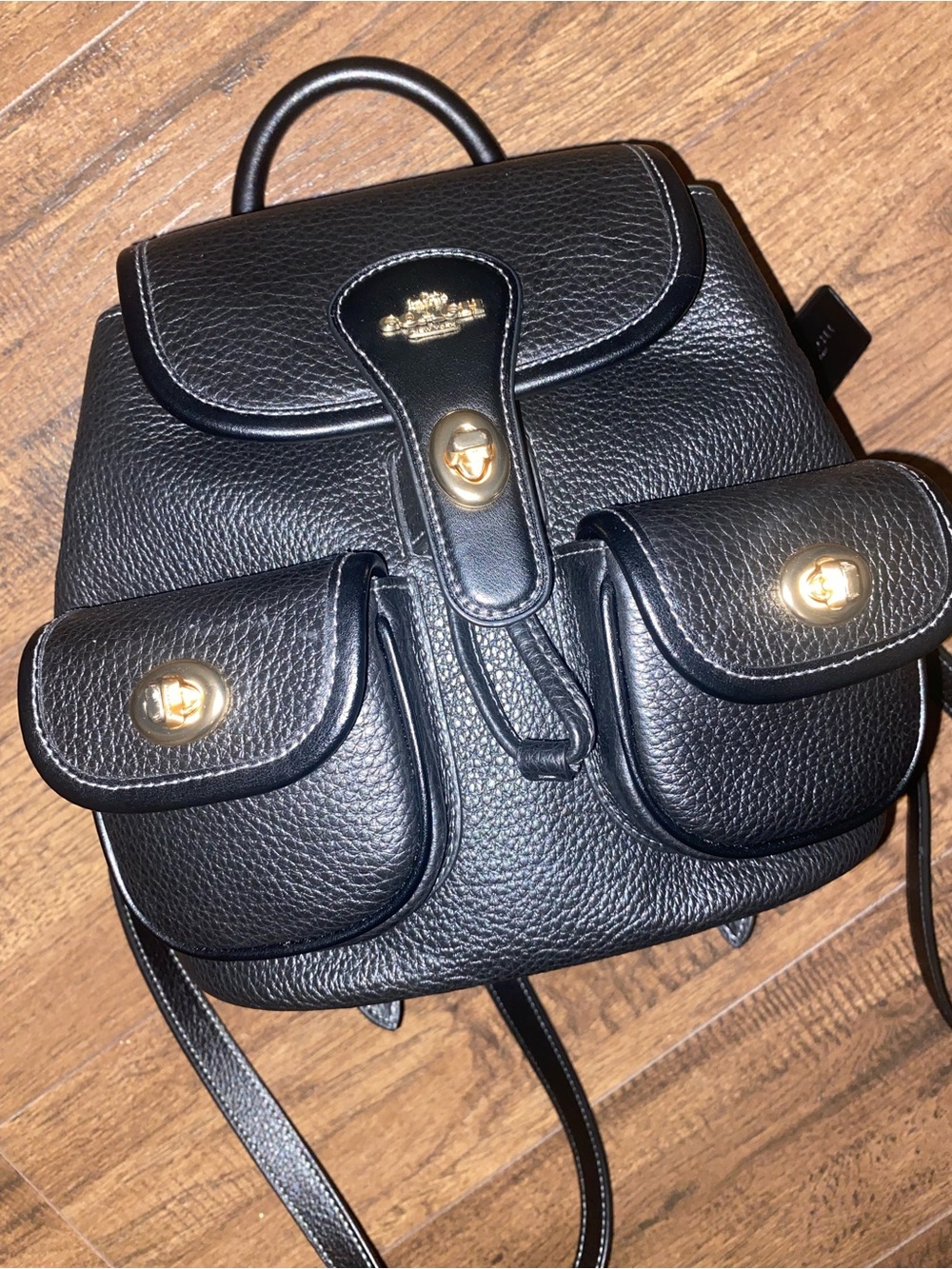 Coach Black Pebbled Leather Mini Backpack with Gold-Tone Hardware - Picture 3 of 7